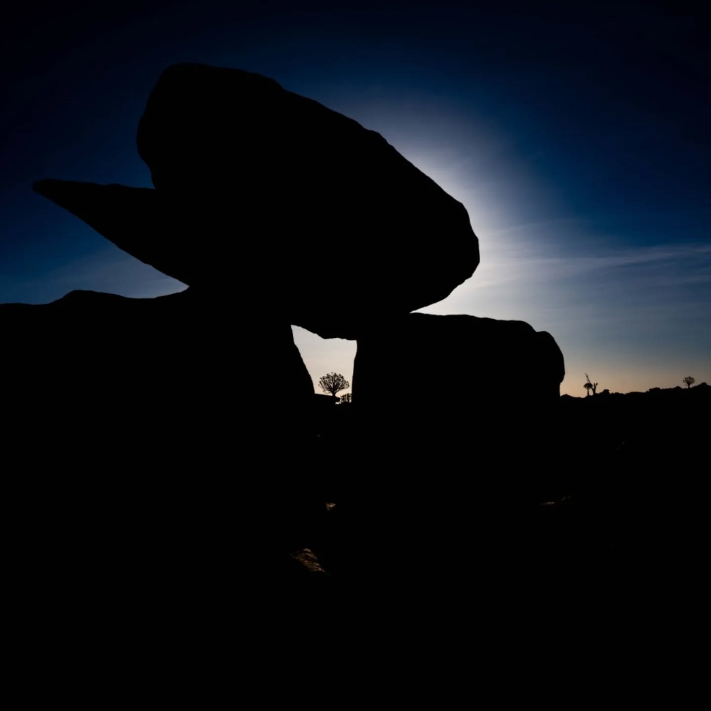 Quiver tree
#landscapephotography #namibia