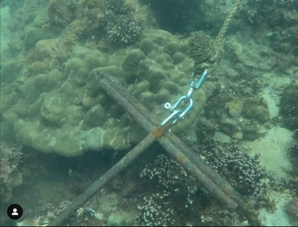 Anchor in Corals