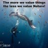 The-more-we-value-things Postcard