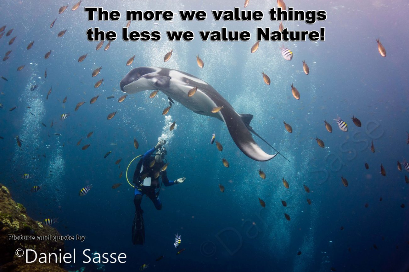 The-more-we-value-things Postcard