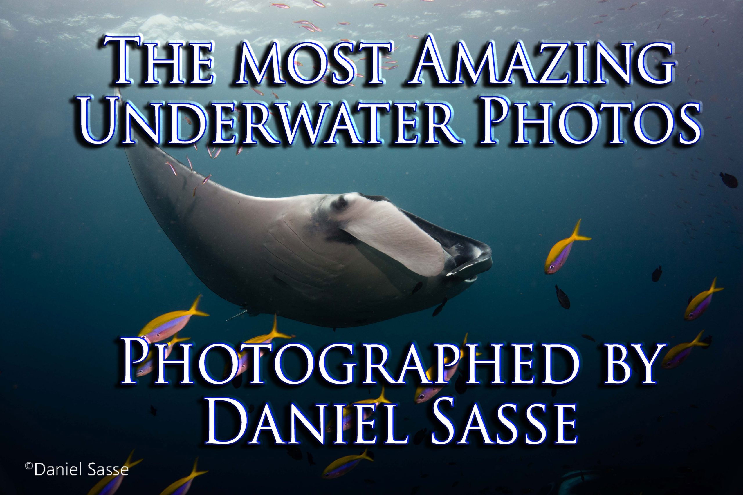 Underwater Photographer Daniel Sasse