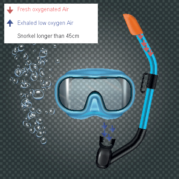 Best Scuba Diving Snorkel 2021 The Ocean Project