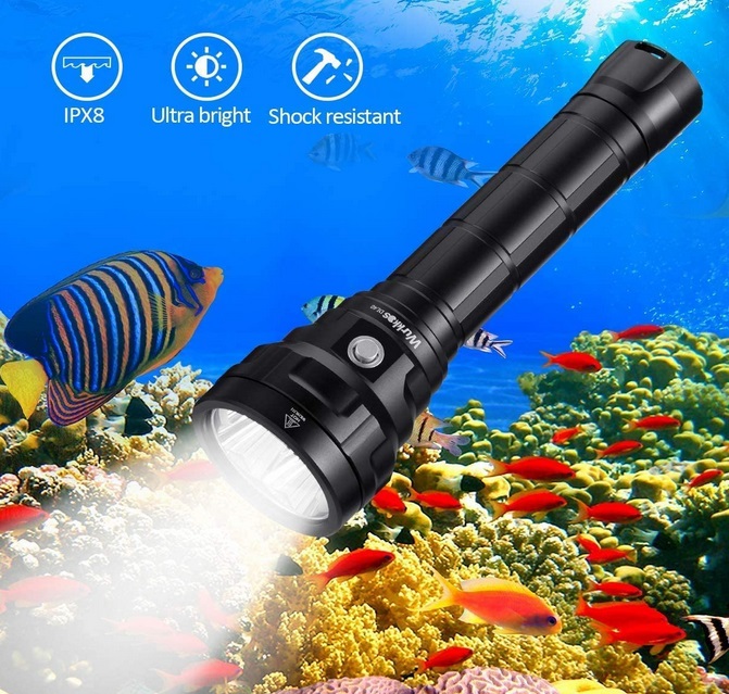 Genwiss Scuba Diving Light High Lumens Underwater Flashlight with Battery for Night Dive