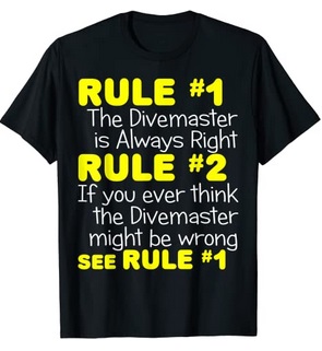 Diver T-Shirt DM Rule