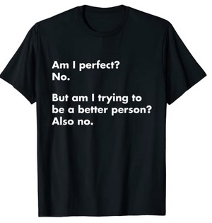 Funny Shirts Am I perfect No But I'm trying to be a better person also no