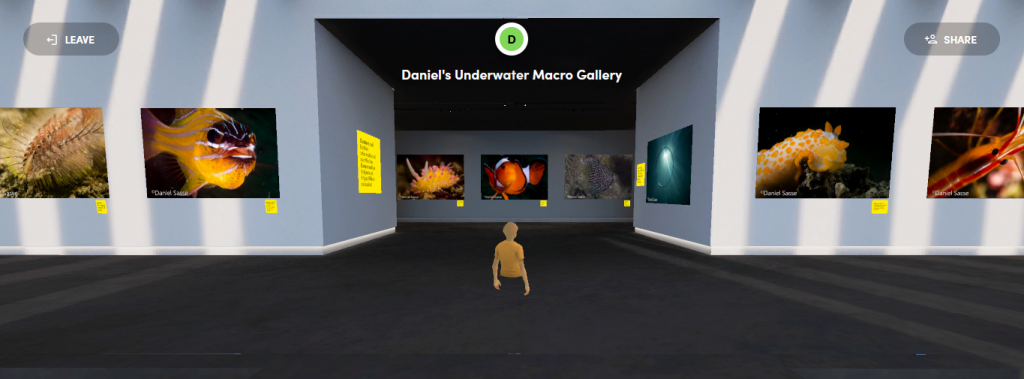 Thumbnail Macro Gallery